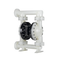 NP20P-FPS-PGG 2" Polypropylene / Buna Non Metallic Diaphragm Pump