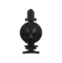 N666252-G22-C 2" Cast Iron / Buna Metallic Diaphragm Pump