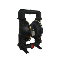 N666252-G22-C 2" Cast Iron / Buna Metallic Diaphragm Pump