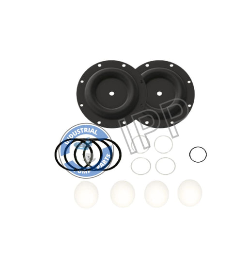 I637119-43-C Repair Kit That Fits for ARO® PUMP