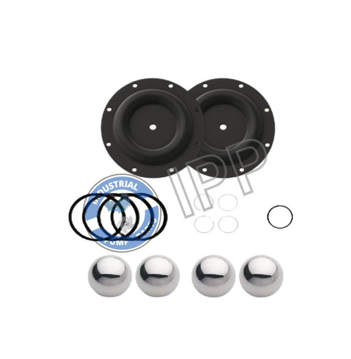 I637119-A3-C Repair Kit That Fits for ARO® PUMP