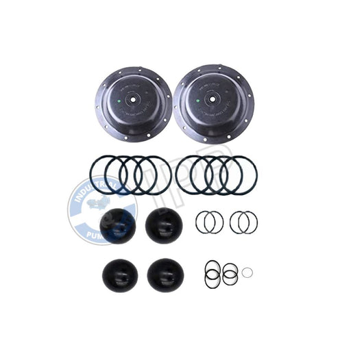 I637165-11 Repair Kit That Fits for ARO® PUMP