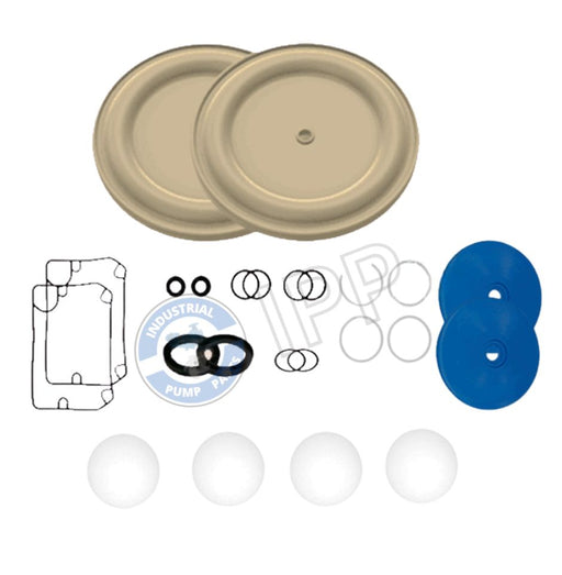 I637309-TM Repair Kit That Fits for ARO® PUMP
