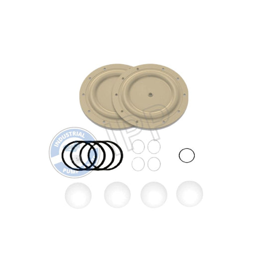 I637119-4B-C Repair Kit That Fits for ARO® PUMP