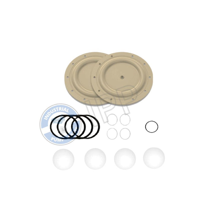 I637119-4B-C Repair Kit That Fits for ARO® PUMP