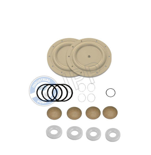 I637119-EB-C-SP Repair Kit That Fits for ARO® PUMP