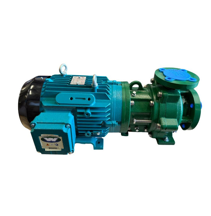 Ansimag Syndyne Pump