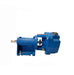 Burks Self Priming Pump