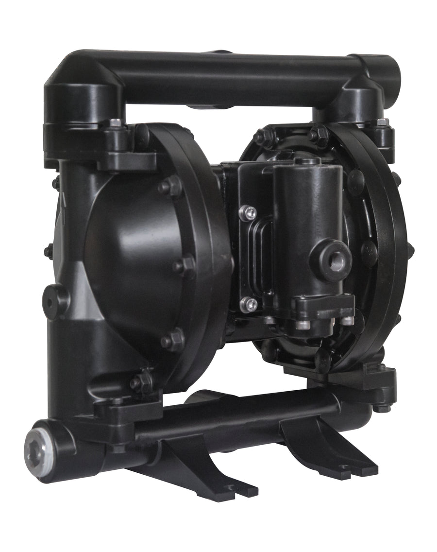 NP10A-ACP-AAA 1" Cast Iron / Santoprene Metallic Diaphragm Pump