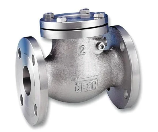 DorrOliverODS2inchFlapCheckValveSS316107546