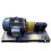 Sanitary Lobe Pump
