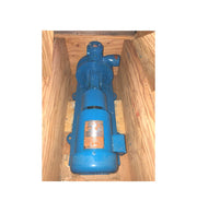 Aurora Regenerative Turbine Pump with Motor