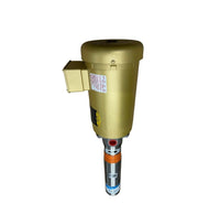 Goulds Multi-Stage Booster Pump