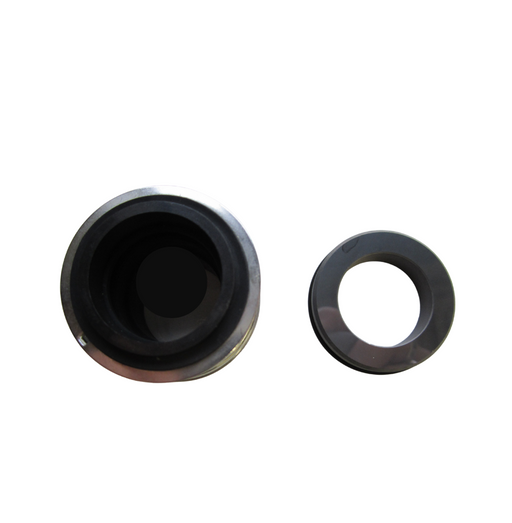 Mechanical Seal MG12/24-G6